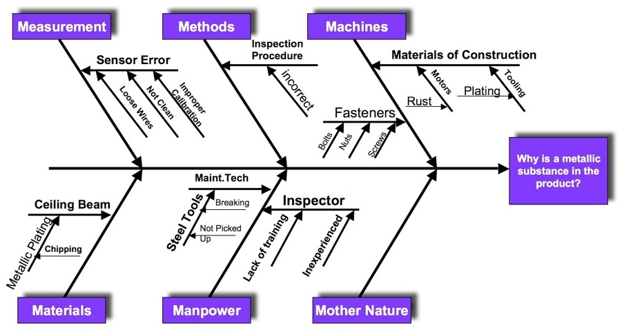 Cause Effect Diagram For The Certified Quality Engineer