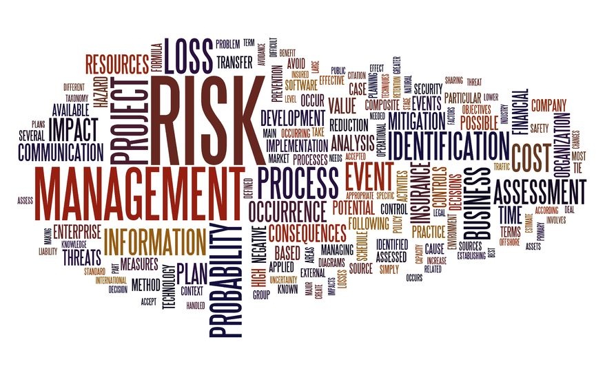 Risk Management Word Scramble