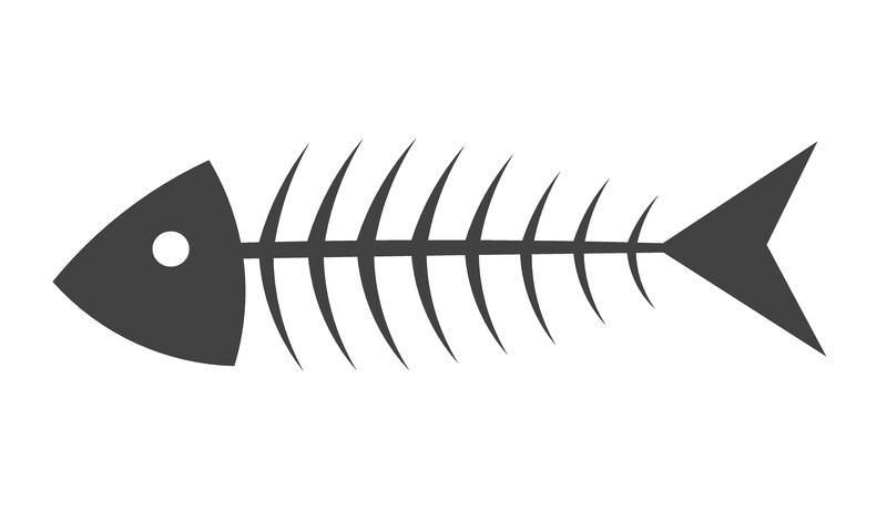 Cause & effect fishbone diagram