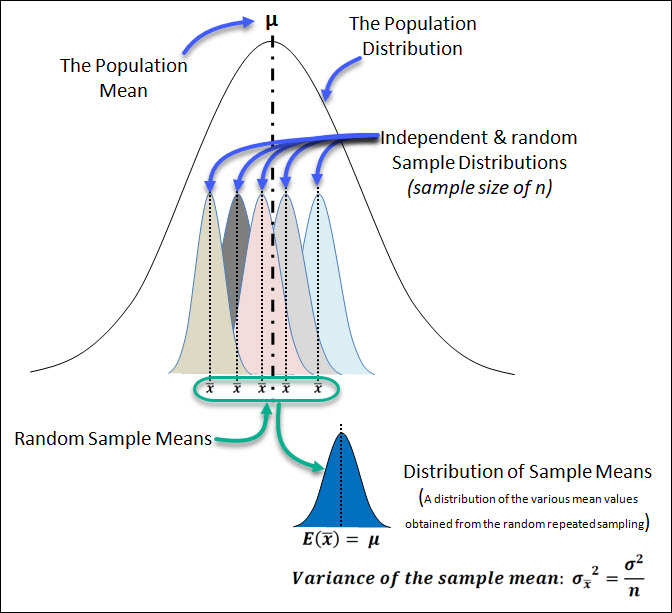 Sample Mean Distribution